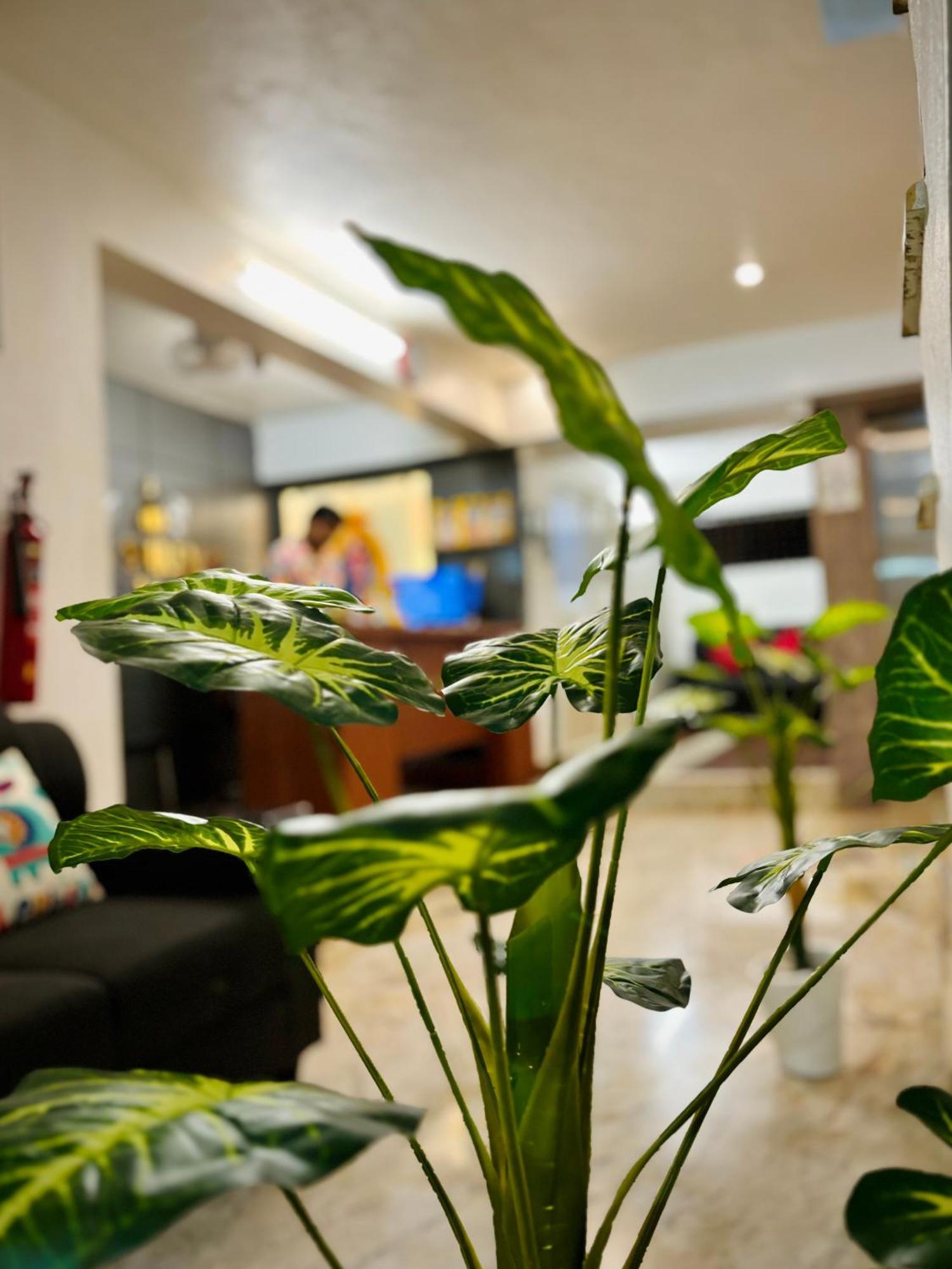 Sai Shreyas Residency, Best Hotel Near Bangalore Airport Dod Jala Exterior foto